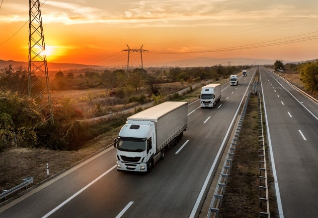 Stay in Control of Your Shipments with MSC Container Tracking